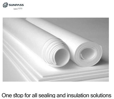 মেকানিক্যাল সিল এবং পেপার মিল প্রসারিত PTFE শীট